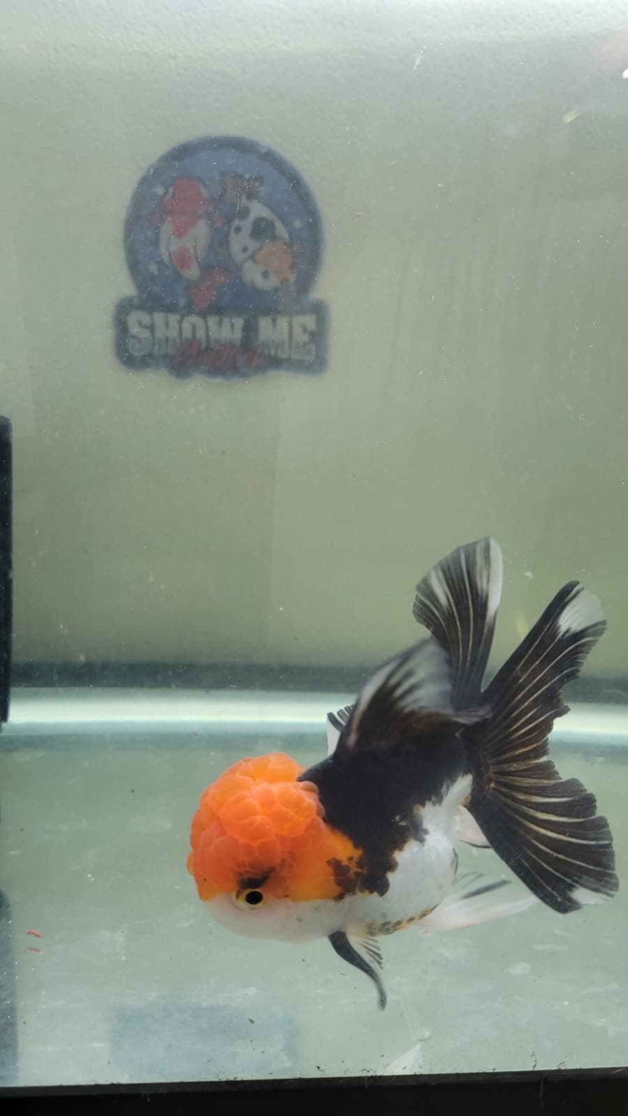 4.5"